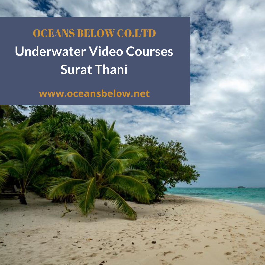 Underwater Video Courses Surat Thani
