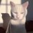 pic.jpg
