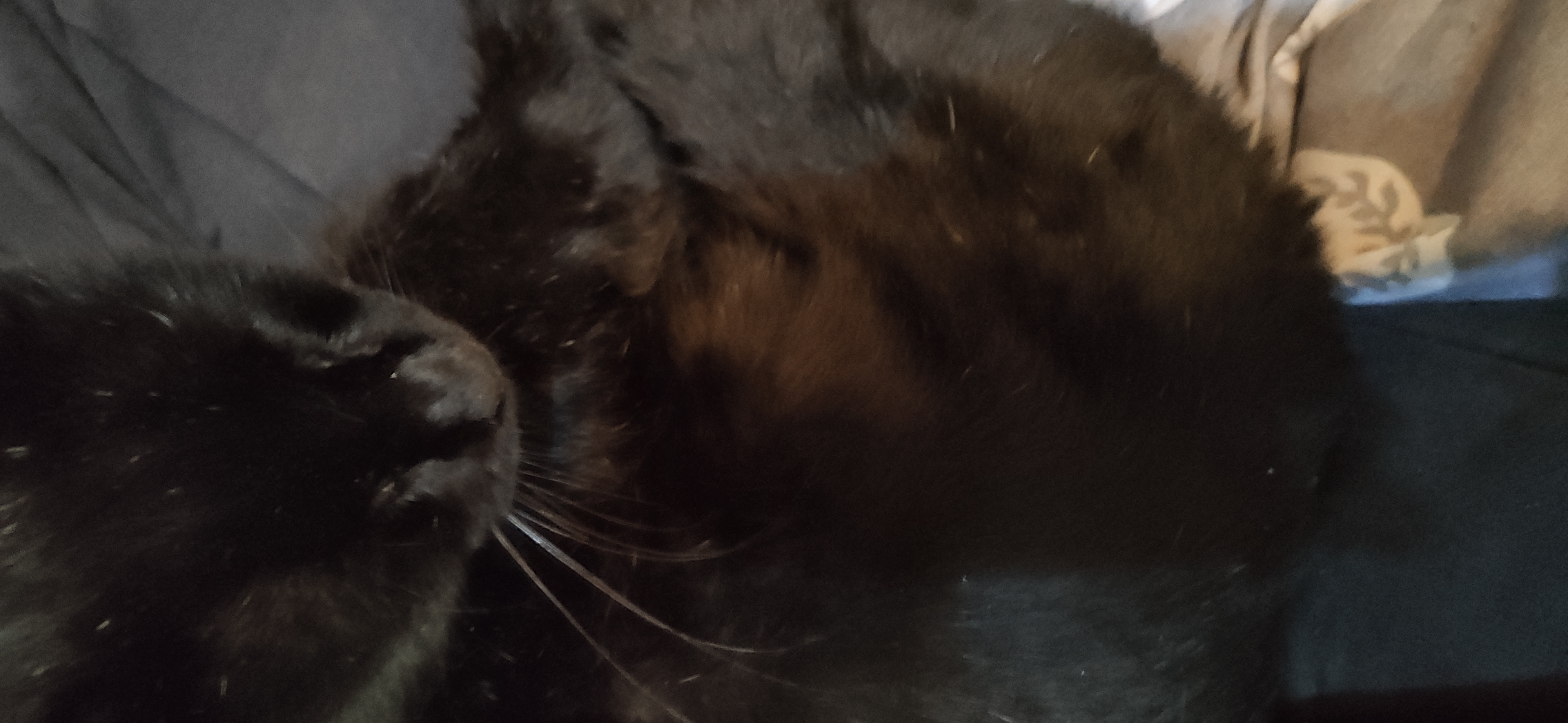 IMG_20201107_220216.jpg
