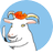 pic.jpg