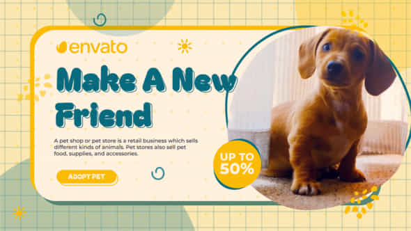47635022-adopt-pet.jpg