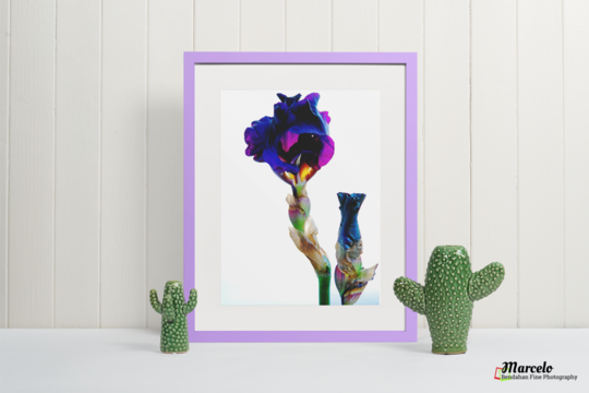 Best Botanical Prints