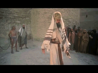 pelayus.gif