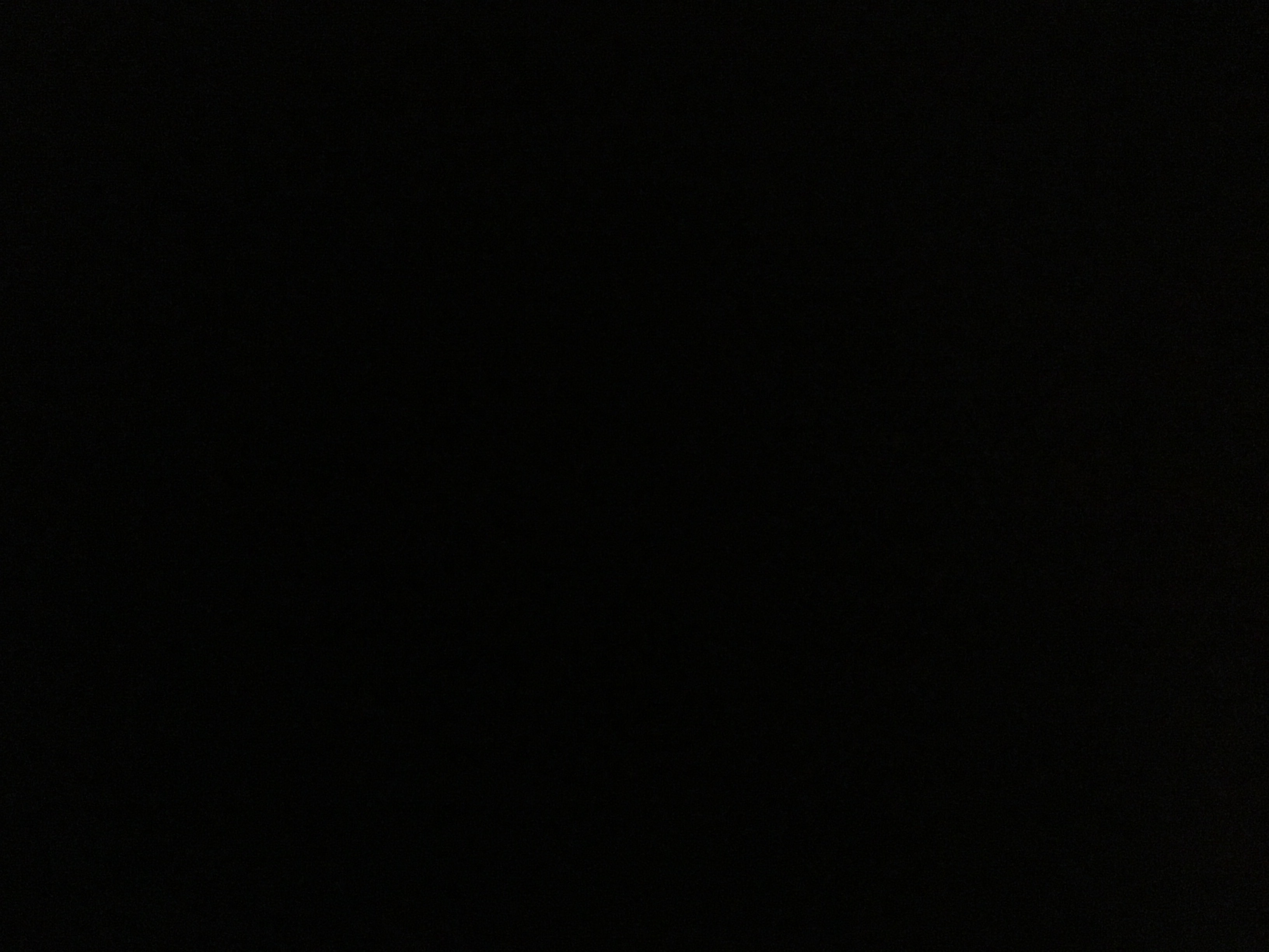file.jpg