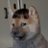 pic.jpg