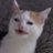 pic.jpg