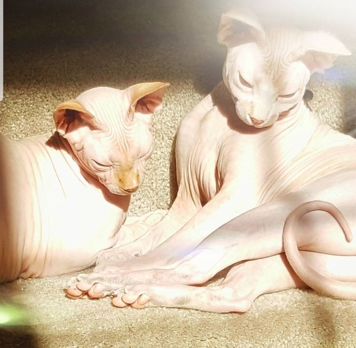 Screenshot_20201123-112247_Instagram.jpg