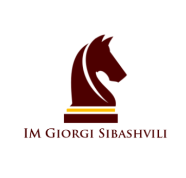 GiorgiSibashviliLogo.PNG