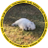 pic.jpg