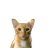 pic.jpg