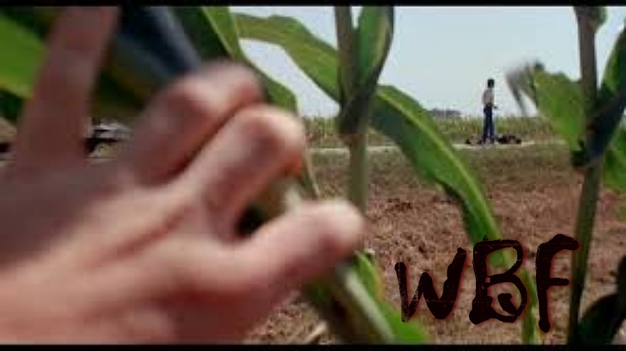 weBfarmerz.jpg