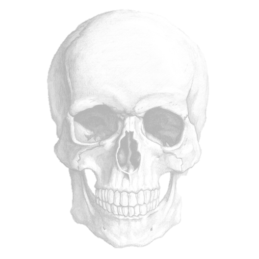 skullseethrough.png