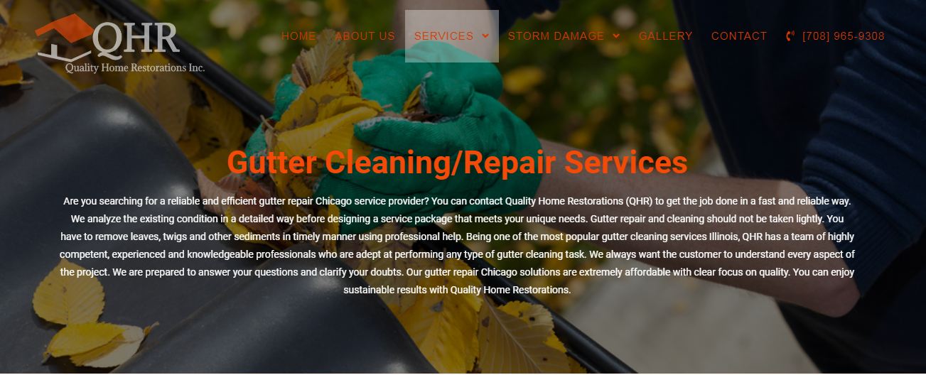 Gutter Cleaning services