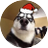 pic.jpg