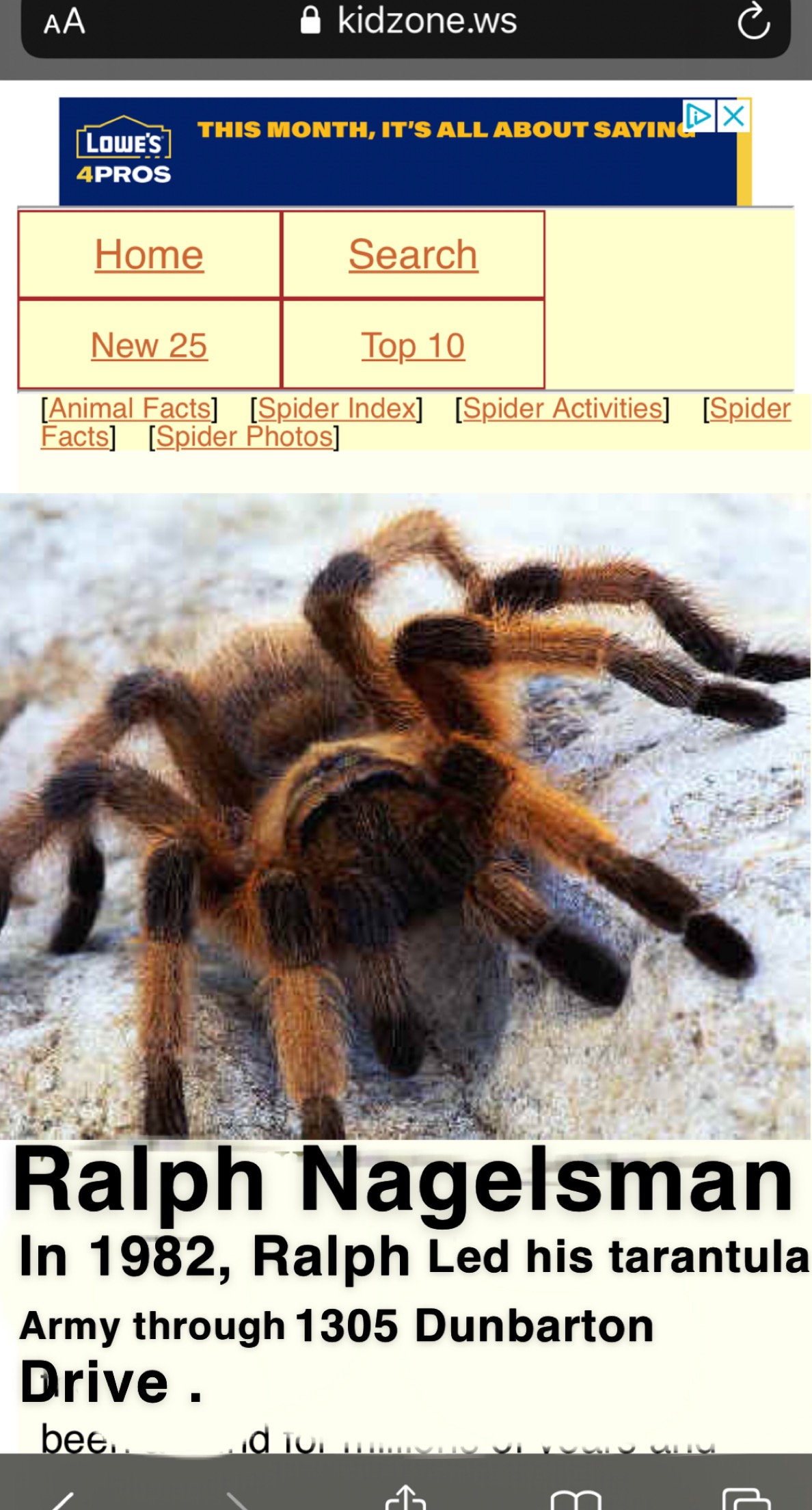 Ralph Nagelsman’s Terror