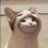 pic.jpg