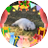 pic.jpg