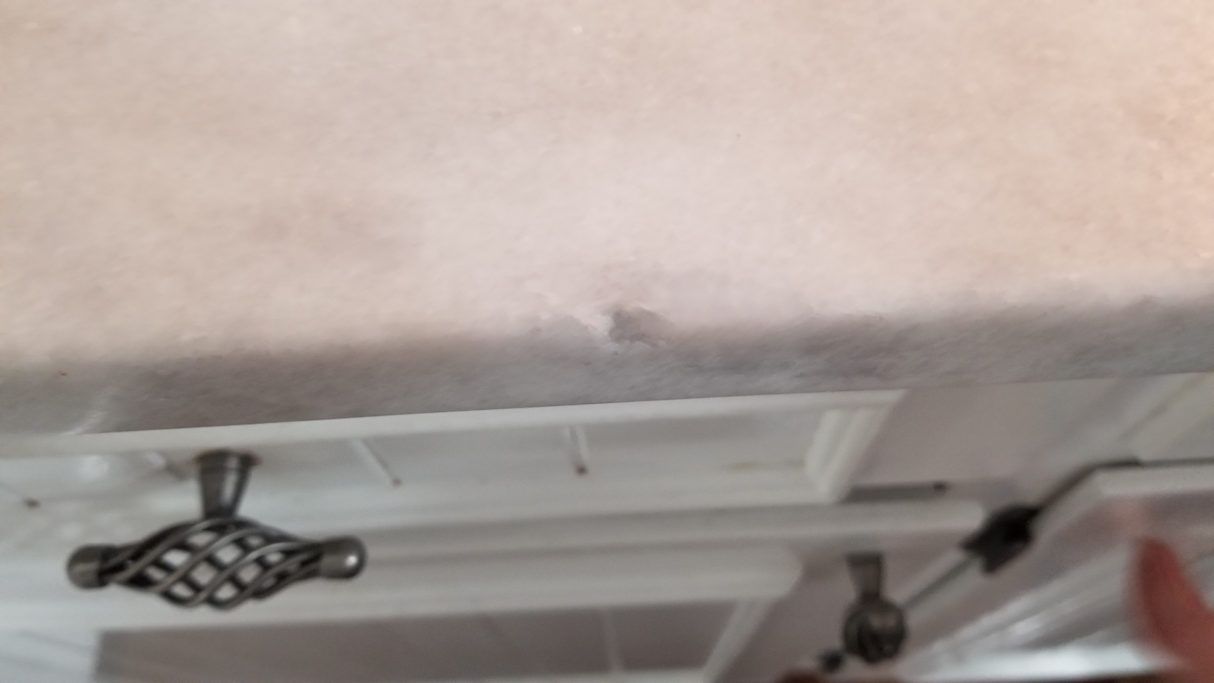 20201216_203531.jpg