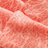 pic.jpg