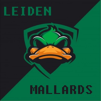 LEIDENMALLARDS.jpg