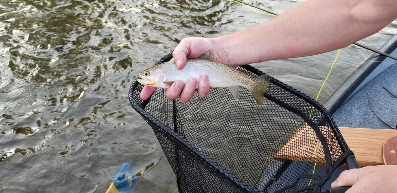 Trout Fishing | woodendriftboat.com