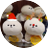 pic.jpg