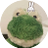 pic.jpg