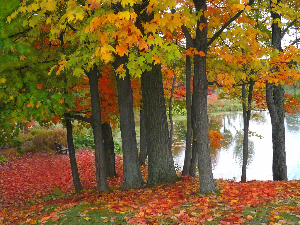 Autumn