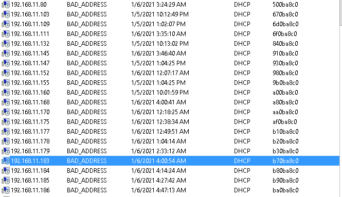 DHCPLease.PNG