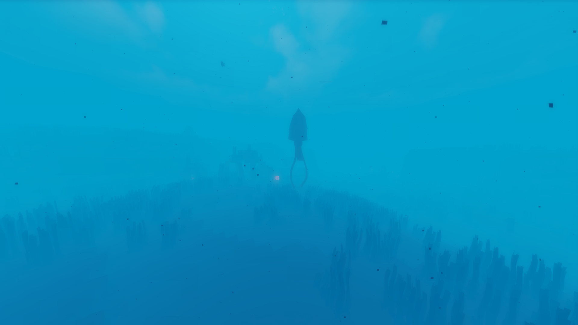 Squid.png