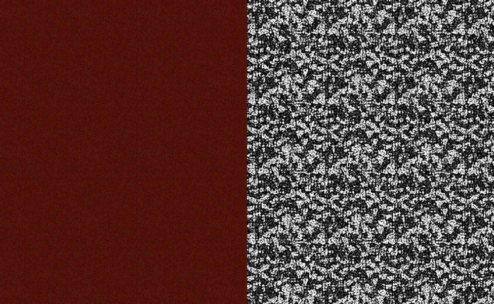raster.jpg