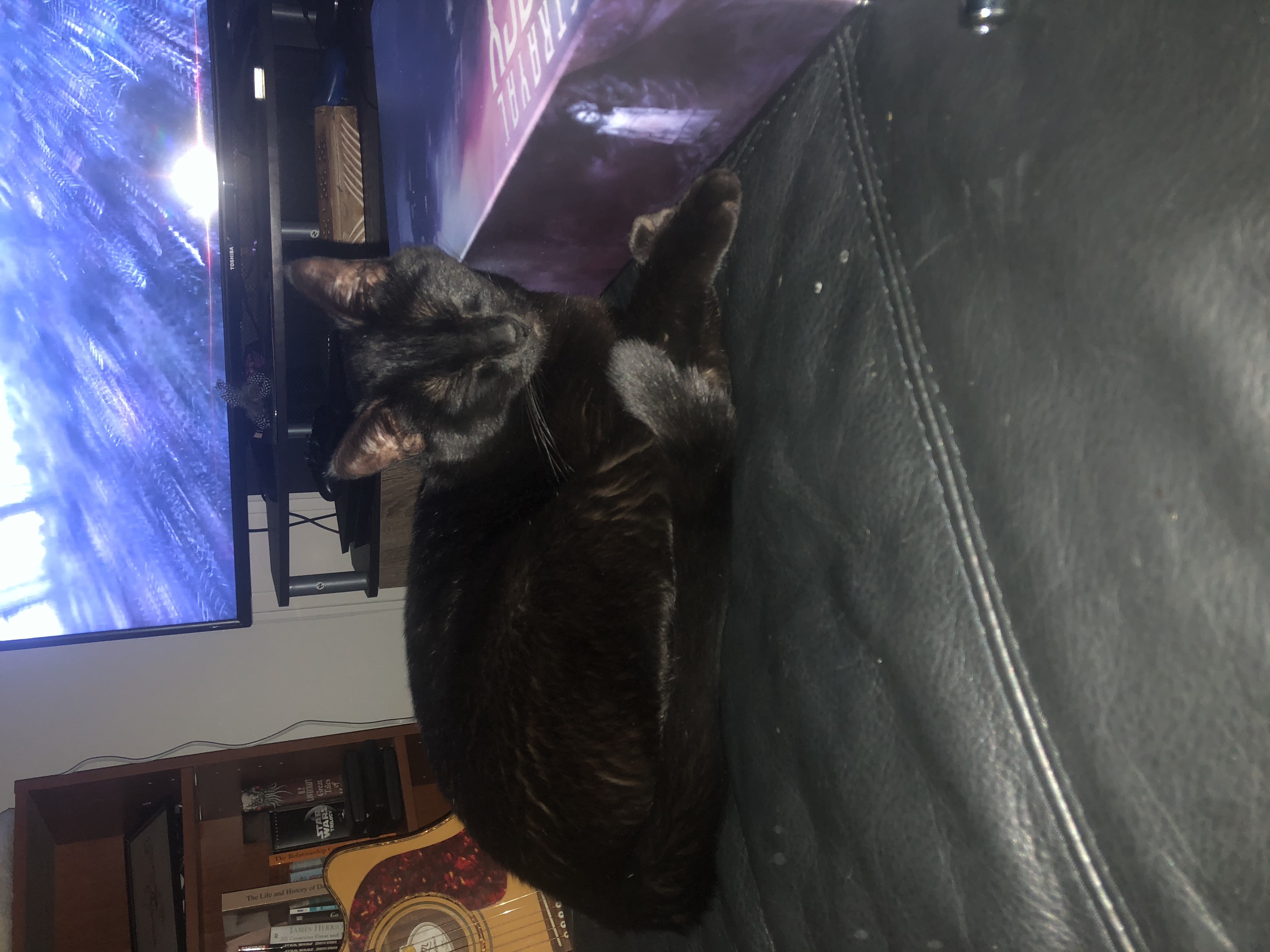 Kitty