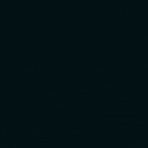 nextdaycode-logo-1