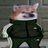 pic.jpg