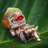 pic.jpg