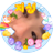 pic.jpg