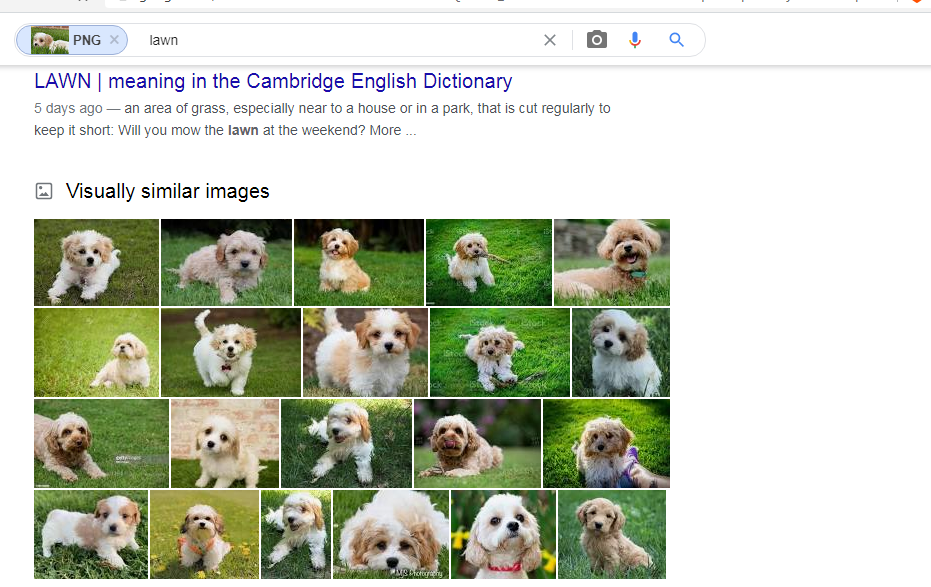 yes