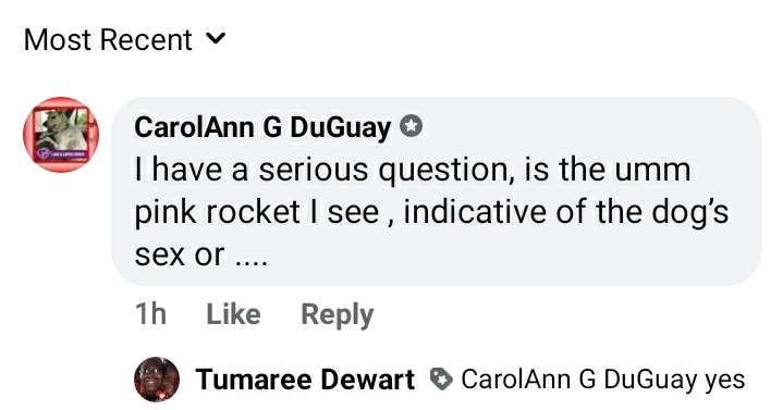 Screenshot_20210222-191804_Facebook.jpg
