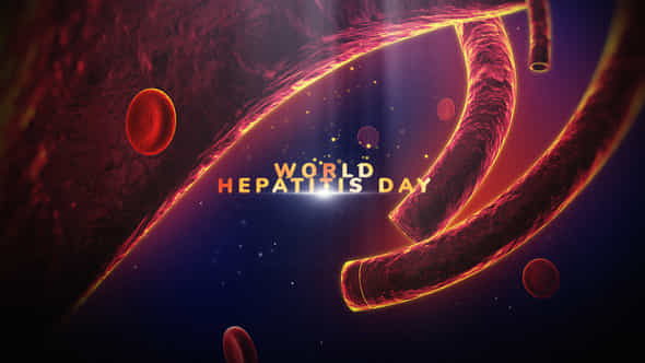 59060501-world-hepatitis.jpg