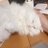 pic.jpg