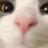 pic.jpg