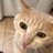 pic.jpg