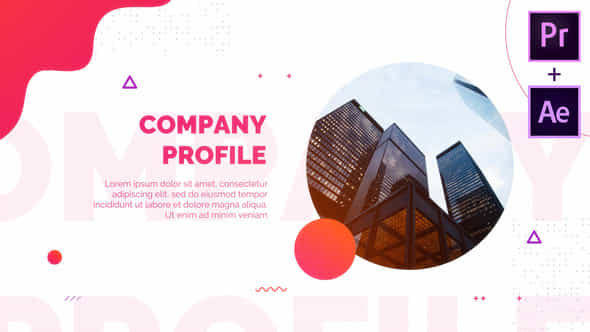 27249460-company-profile.jpg