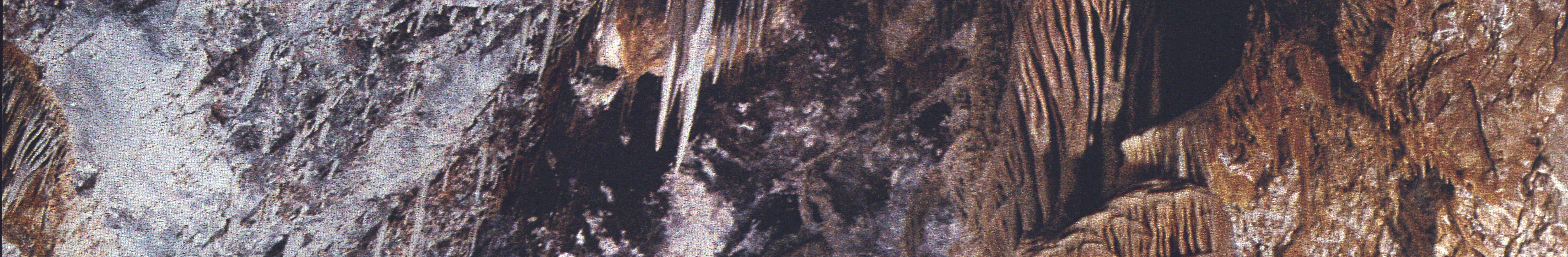 campaign-5_01.gif