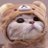 pic.jpg