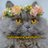 pic.jpg