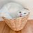 pic.jpg