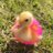 pic.jpg
