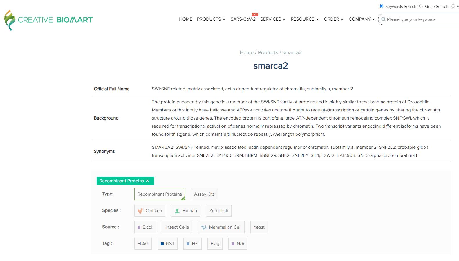 SMARCA2