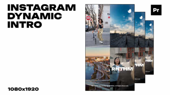 52736308-instagram-dynamic.jpg